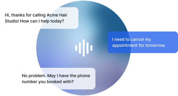 Voice agent demo preview